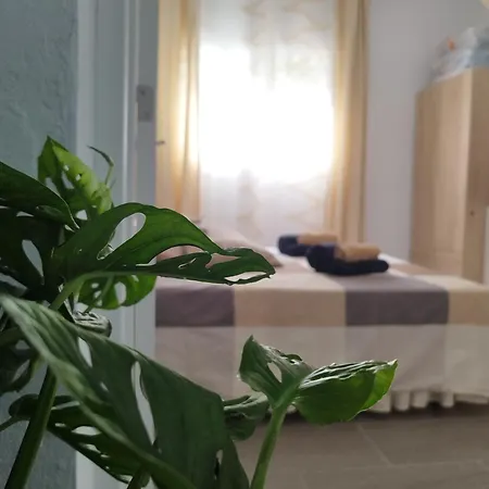 Casa De Maria Luisa アロナ